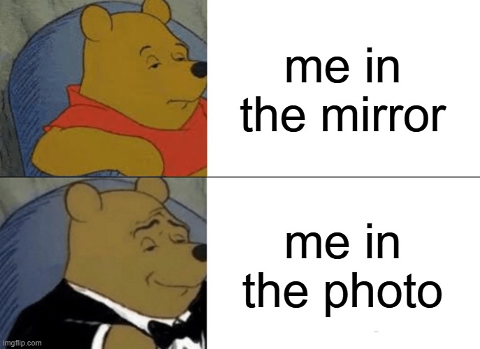 photos vs mirrors | me in the mirror; me in the photo | image tagged in memes,tuxedo winnie the pooh | made w/ Imgflip meme maker