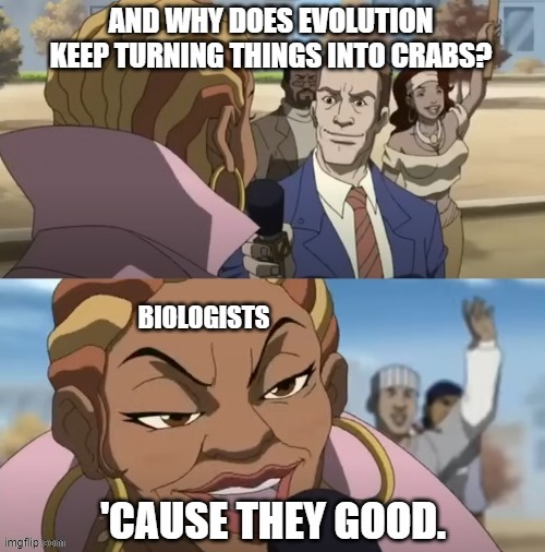 evolution | BIOLOGISTS | image tagged in evolution | made w/ Imgflip meme maker