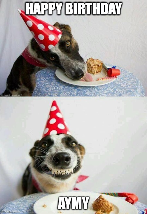 Happy Birthday | HAPPY BIRTHDAY; AYMY | image tagged in happy birthday | made w/ Imgflip meme maker