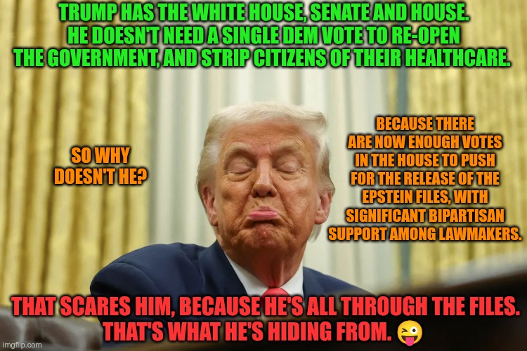 The Epstein Shutdown | TRUMP HAS THE WHITE HOUSE, SENATE AND HOUSE. HE DOESN'T NEED A SINGLE DEM VOTE TO RE-OPEN THE GOVERNMENT, AND STRIP CITIZENS OF THEIR HEALTHCARE. BECAUSE THERE ARE NOW ENOUGH VOTES IN THE HOUSE TO PUSH FOR THE RELEASE OF THE EPSTEIN FILES, WITH SIGNIFICANT BIPARTISAN SUPPORT AMONG LAWMAKERS. SO WHY DOESN'T HE? THAT SCARES HIM, BECAUSE HE'S ALL THROUGH THE FILES.

THAT'S WHAT HE'S HIDING FROM. 😜 | image tagged in trump,gop,maga,nazis,fascists,epstein | made w/ Imgflip meme maker