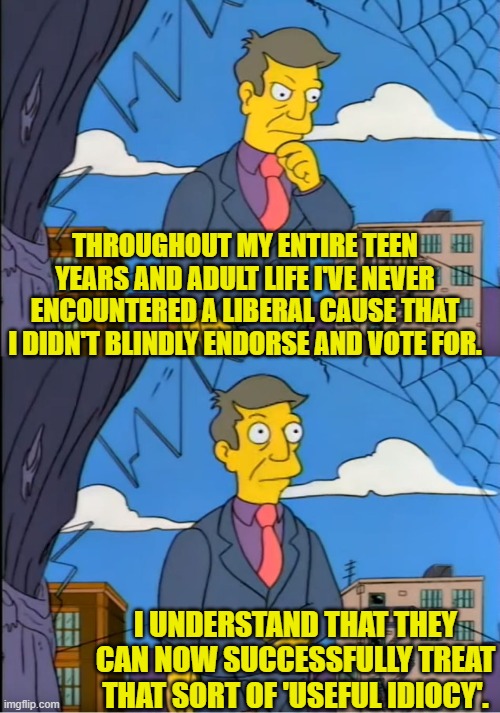 Wouldn't that be nice . . . short of a lobotomy? | THROUGHOUT MY ENTIRE TEEN YEARS AND ADULT LIFE I'VE NEVER ENCOUNTERED A LIBERAL CAUSE THAT I DIDN'T BLINDLY ENDORSE AND VOTE FOR. I UNDERSTAND THAT THEY CAN NOW SUCCESSFULLY TREAT THAT SORT OF 'USEFUL IDIOCY'. | image tagged in skinner out of touch | made w/ Imgflip meme maker