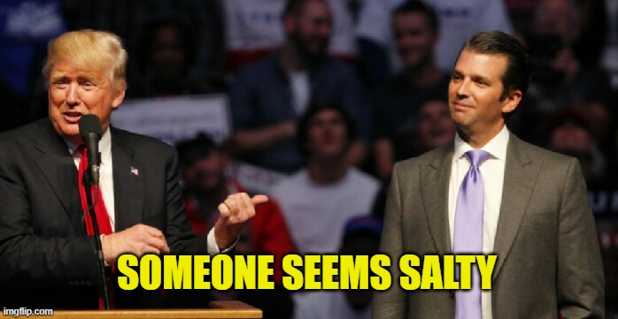 umadbro | SOMEONE SEEMS SALTY | image tagged in umadbro | made w/ Imgflip meme maker