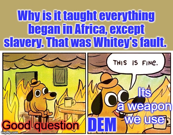 Blacks are not the innocent victims of slavery; they are the creators of slavery. | Why is it taught everything began in Africa, except slavery. That was Whitey's fault. Its a weapon we use; DEM; Good question | image tagged in memes,this is fine | made w/ Imgflip meme maker