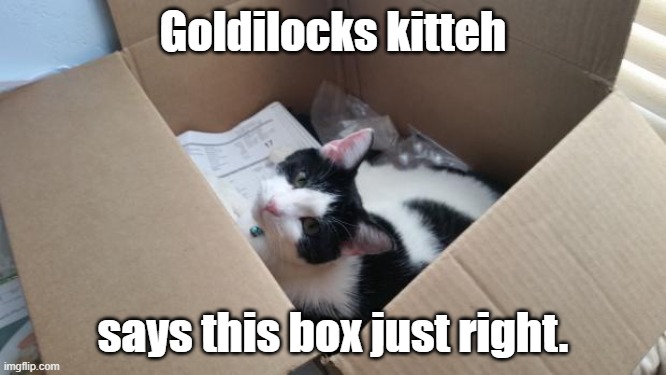 cat in the box | Goldilocks kitteh says this box just right. | image tagged in cat in the box | made w/ Imgflip meme maker