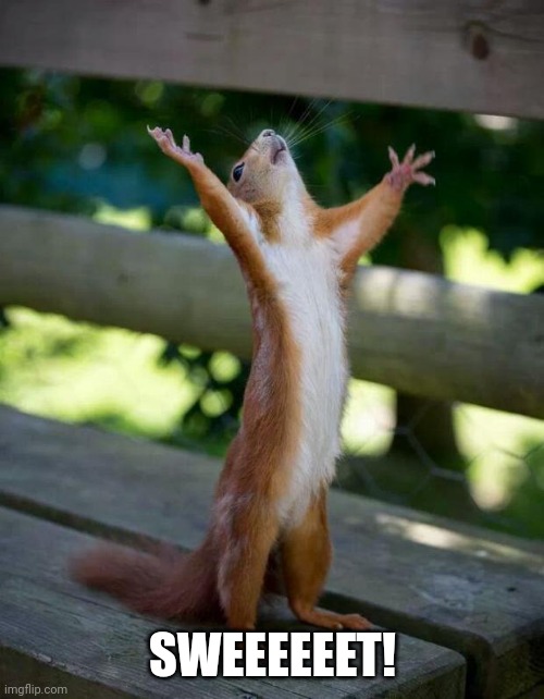 Happy Squirrel | SWEEEEEET! | image tagged in happy squirrel | made w/ Imgflip meme maker