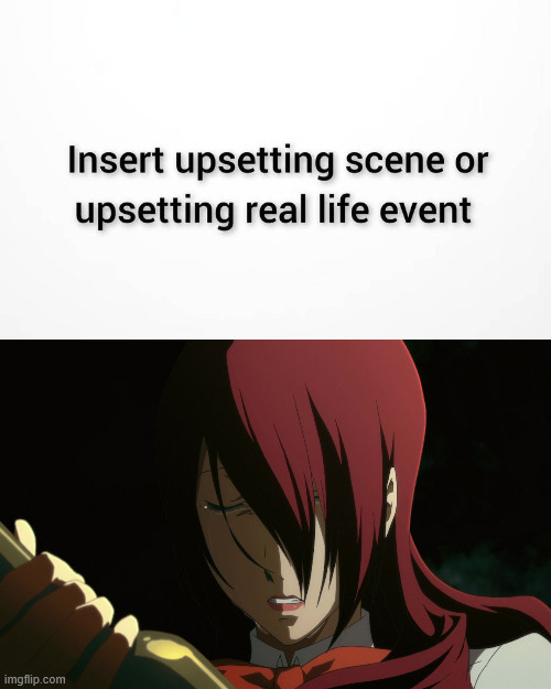 what makes ariel cry ? Blank Meme Template