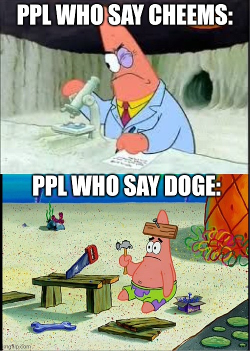 PPL WHO SAY CHEEMS: PPL WHO SAY DOGE: | image tagged in patrick smart dumb | made w/ Imgflip meme maker