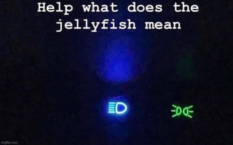 What does the jellyfish mean? | image tagged in jellyfish,car,memes,msmg,lol | made w/ Imgflip meme maker