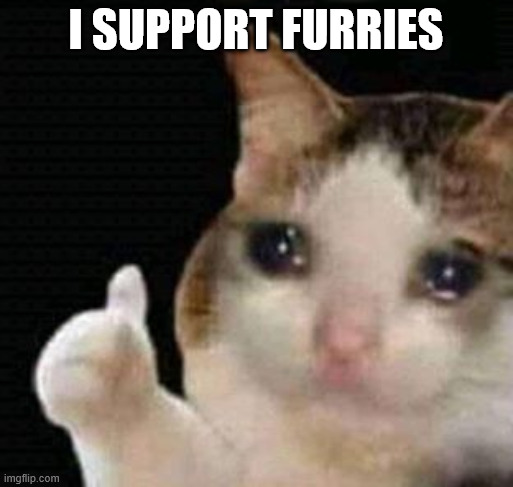 I SUPPORT FURRIES | image tagged in sad thumbs up cat | made w/ Imgflip meme maker