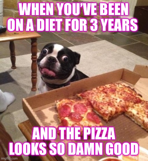 Hungry Pizza Dog | WHEN YOU’VE BEEN ON A DIET FOR 3 YEARS; AND THE PIZZA LOOKS SO DAMN GOOD | image tagged in hungry pizza dog | made w/ Imgflip meme maker