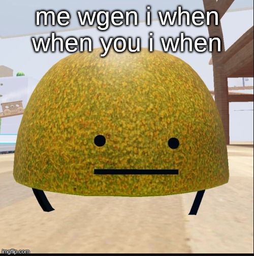 most real image ever | me wgen i when when you i when | image tagged in secret kiwi | made w/ Imgflip meme maker