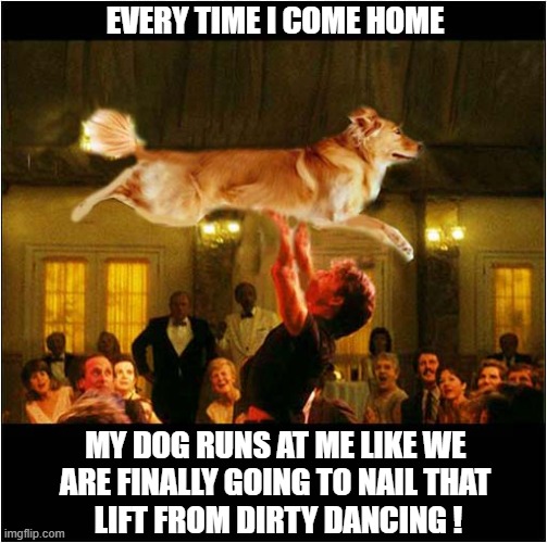 Only In My Dreams | EVERY TIME I COME HOME; MY DOG RUNS AT ME LIKE WE 
ARE FINALLY GOING TO NAIL THAT 
LIFT FROM DIRTY DANCING ! | image tagged in dogs,dreams,dirty dancing,lift | made w/ Imgflip meme maker