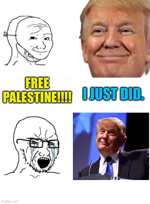 FREE PALESTINE!!!! I JUST DID. | image tagged in soyboy vs yes chad | made w/ Imgflip meme maker