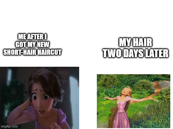 I don't know why my hair grows so fast! I could get a new haircut every two weeks | MY HAIR TWO DAYS LATER; ME AFTER I GOT MY NEW SHORT-HAIR HAIRCUT | image tagged in blank white template | made w/ Imgflip meme maker