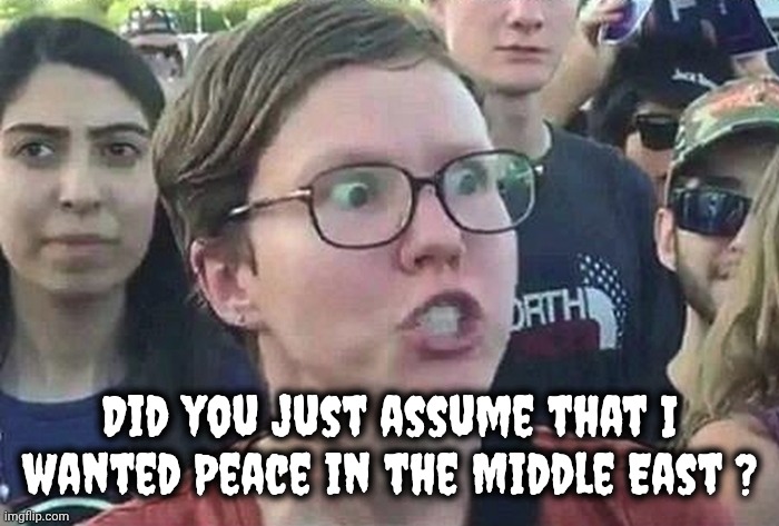 Triggered Liberal | Did you just assume that I wanted Peace in the Middle East ? | image tagged in triggered liberal | made w/ Imgflip meme maker
