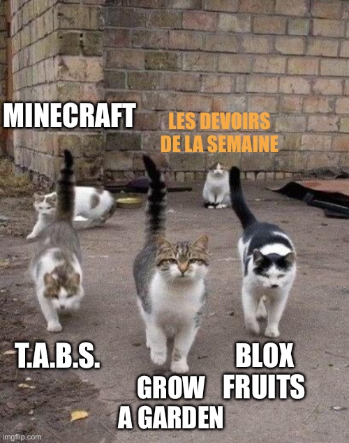 Alley cats - les devoirs de la semaine | MINECRAFT; LES DEVOIRS DE LA SEMAINE; T.A.B.S. BLOX FRUITS; GROW A GARDEN | image tagged in alley cats,school,homework,cats | made w/ Imgflip meme maker