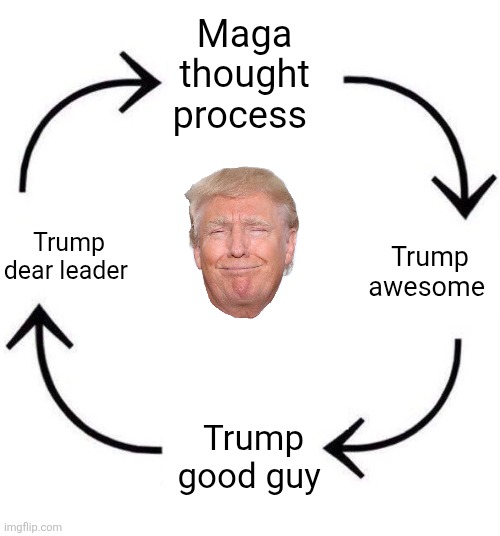 the circle of life | Maga thought process Trump awesome Trump good guy Trump dear leader | image tagged in the circle of life | made w/ Imgflip meme maker