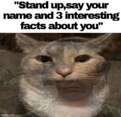 image tagged in memes,thousand yard stare | made w/ Imgflip meme maker