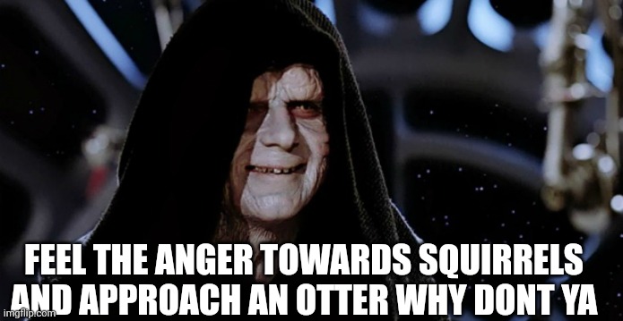 Star Wars Emperor | FEEL THE ANGER TOWARDS SQUIRRELS AND APPROACH AN OTTER WHY DONT YA | image tagged in star wars emperor | made w/ Imgflip meme maker
