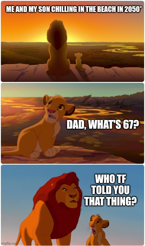 Whooo? Tell me, | ME AND MY SON CHILLING IN THE BEACH IN 2050*; DAD, WHAT'S 67? WHO TF TOLD YOU THAT THING? | image tagged in shadowy place lion king | made w/ Imgflip meme maker