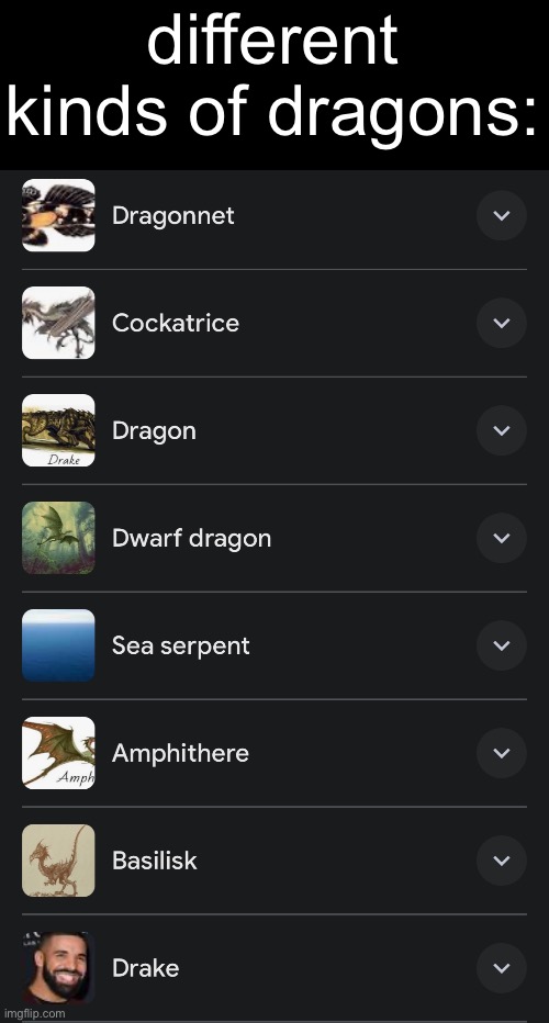 . | different kinds of dragons: | made w/ Imgflip meme maker