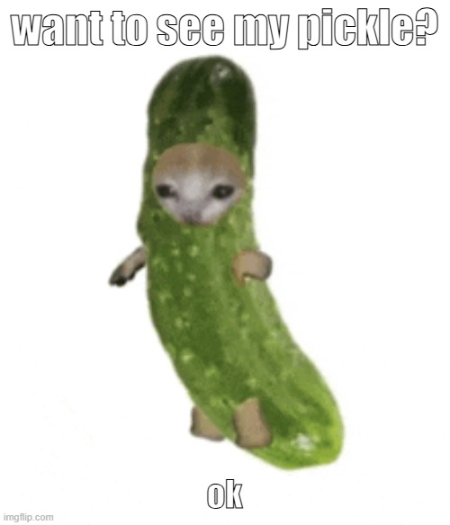 pickelel | want to see my pickle? ok | made w/ Imgflip meme maker