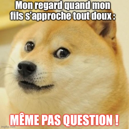 Doge - Même pas question | Mon regard quand mon fils s’approche tout doux :; MÊME PAS QUESTION ! | image tagged in memes,doge,mother,father,kids | made w/ Imgflip meme maker