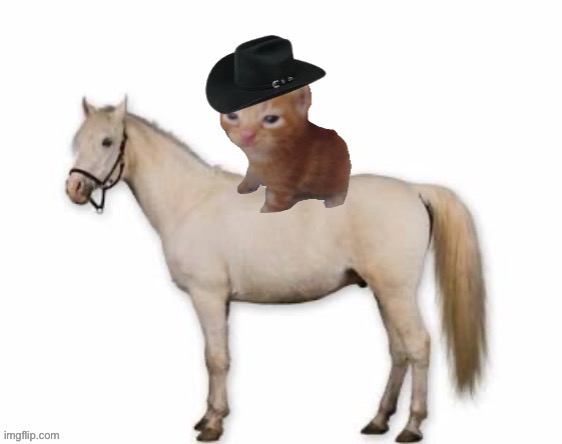 Herberto | made w/ Imgflip meme maker