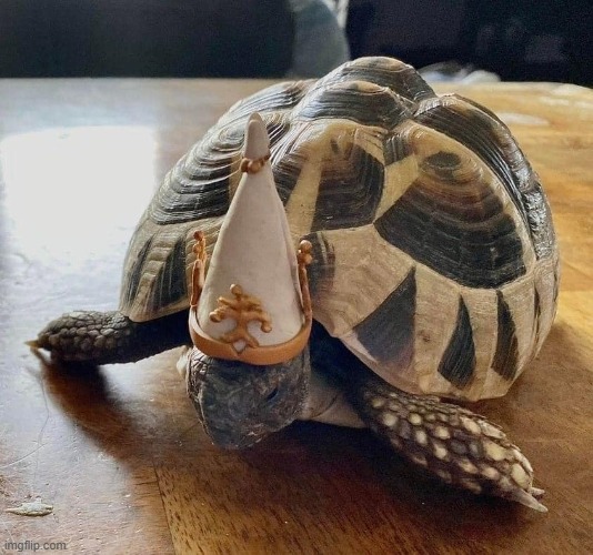 dog | image tagged in dog | made w/ Imgflip meme maker