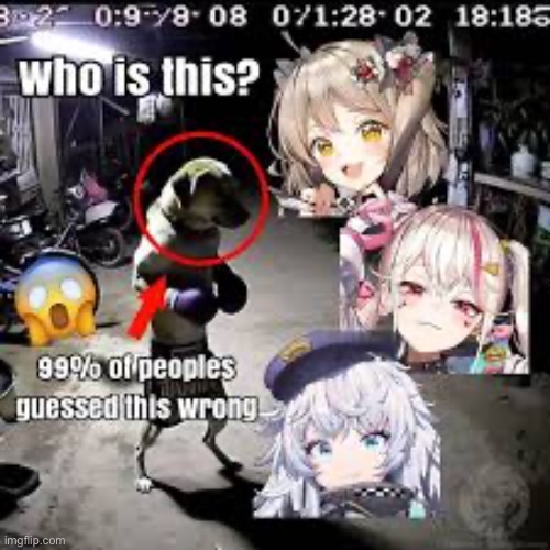 who is this? | image tagged in who is this | made w/ Imgflip meme maker