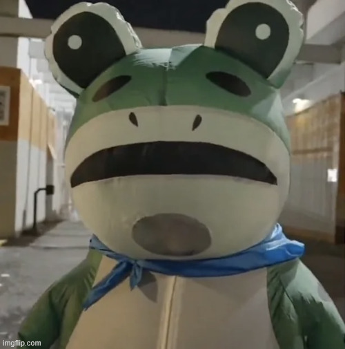 Portland Frog | image tagged in portland frog | made w/ Imgflip meme maker