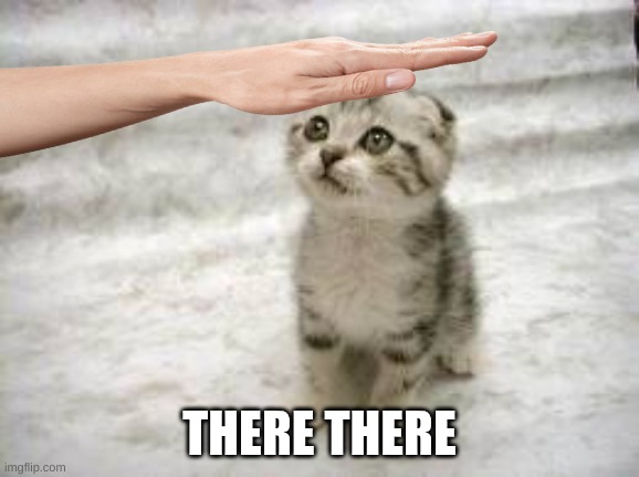 Sad Cat Meme | THERE THERE | image tagged in memes,sad cat | made w/ Imgflip meme maker