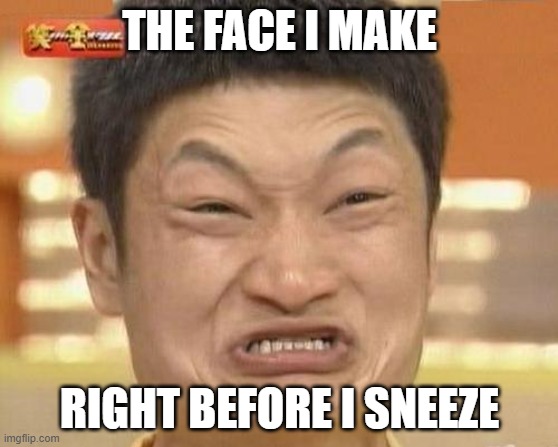 Is it weird that sneezing is all I can think of when I see this? | THE FACE I MAKE; RIGHT BEFORE I SNEEZE | image tagged in memes,impossibru guy original,sneeze,funny | made w/ Imgflip meme maker
