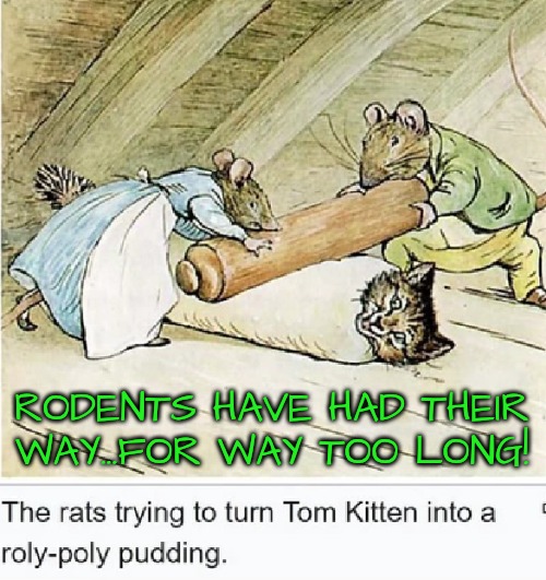 RODENTS HAVE HAD THEIR WAY...FOR WAY TOO LONG! | made w/ Imgflip meme maker