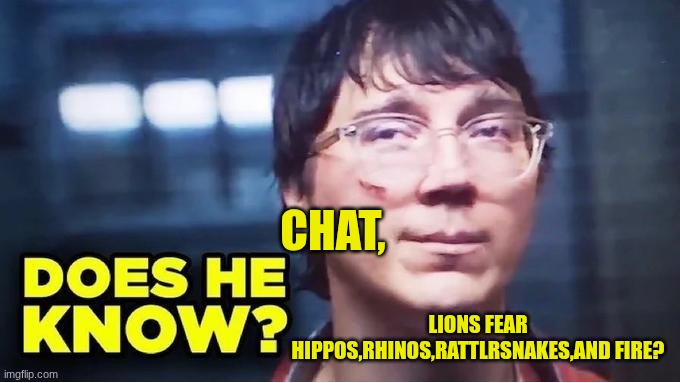 CHAT, LIONS FEAR HIPPOS,RHINOS,RATTLRSNAKES,AND FIRE? | image tagged in does he know | made w/ Imgflip meme maker