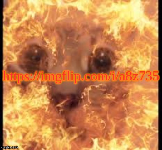 help im burning | https://imgflip.com/i/a8z735 | image tagged in help im burning | made w/ Imgflip meme maker