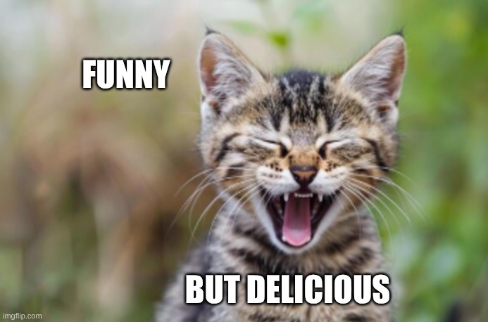 FUNNY BUT DELICIOUS | made w/ Imgflip meme maker