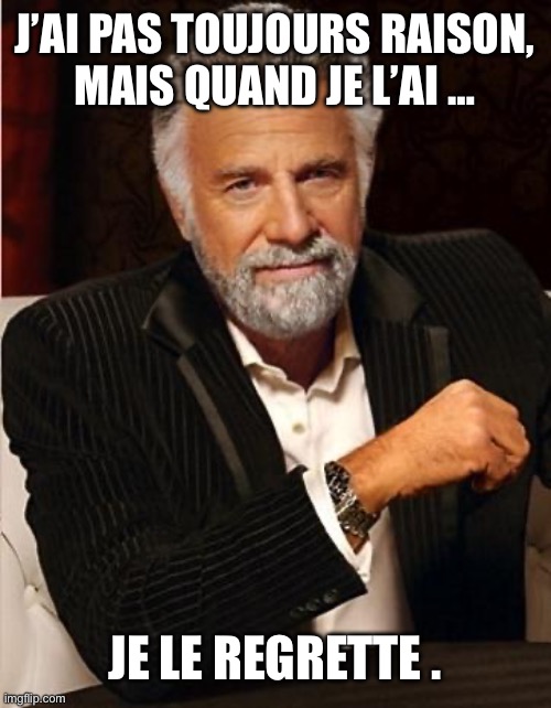 i don't always | J’AI PAS TOUJOURS RAISON,
MAIS QUAND JE L’AI …; JE LE REGRETTE . | image tagged in i don't always | made w/ Imgflip meme maker
