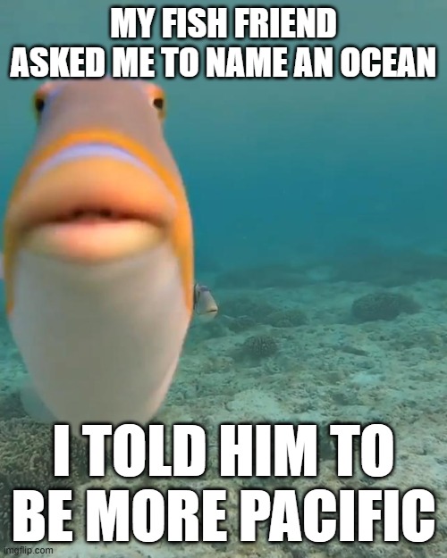 Dad joke of the day | MY FISH FRIEND ASKED ME TO NAME AN OCEAN; I TOLD HIM TO BE MORE PACIFIC | image tagged in staring fish | made w/ Imgflip meme maker