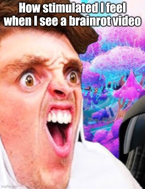 lazarbeam surprised | How stimulated I feel when I see a brainrot video | image tagged in lazarbeam surprised | made w/ Imgflip meme maker