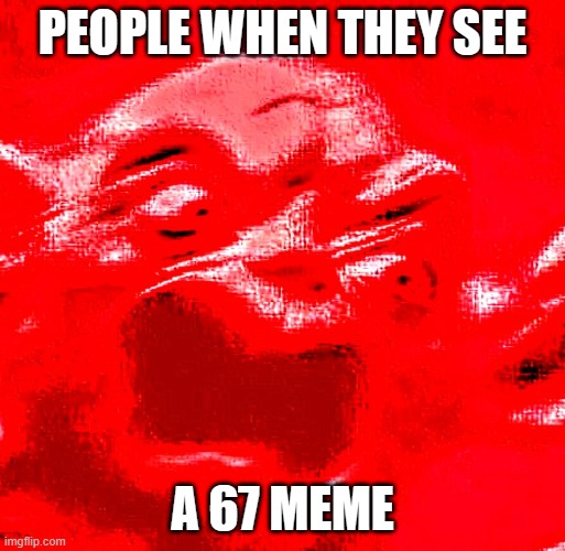 Someone Even Blocked Me Because Of A 67 Meme | PEOPLE WHEN THEY SEE; A 67 MEME | image tagged in very loud screaming | made w/ Imgflip meme maker
