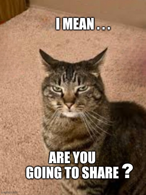 You have to be kitty me | I MEAN . . . ARE YOU GOING TO SHARE ? | image tagged in you have to be kitty me | made w/ Imgflip meme maker