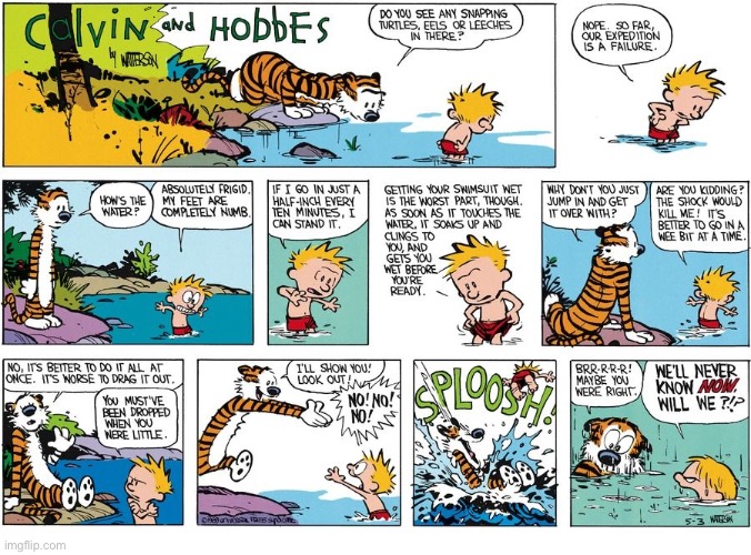 Cowabunga! | image tagged in calvin and hobbes,comics,swimming,cold water,cannonball,cowabunga | made w/ Imgflip meme maker