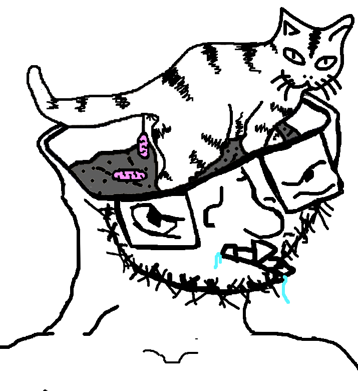 Litter brain Blank Meme Template