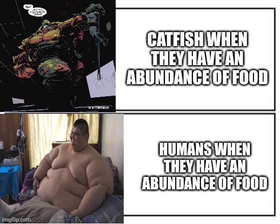 Biology.,'":;^*&%#$ | CATFISH WHEN THEY HAVE AN ABUNDANCE OF FOOD; HUMANS WHEN THEY HAVE AN ABUNDANCE OF FOOD | image tagged in no - yes | made w/ Imgflip meme maker