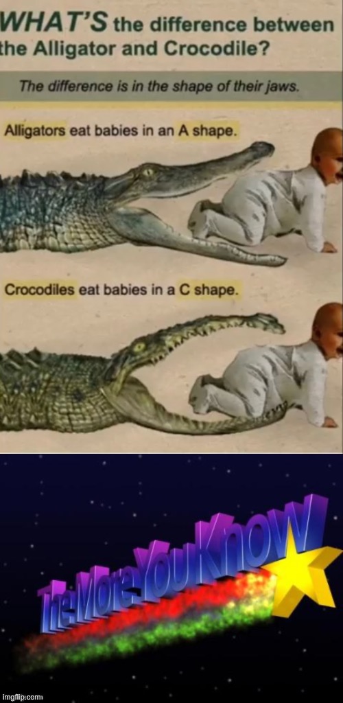 image tagged in the more you know,aligator | made w/ Imgflip meme maker