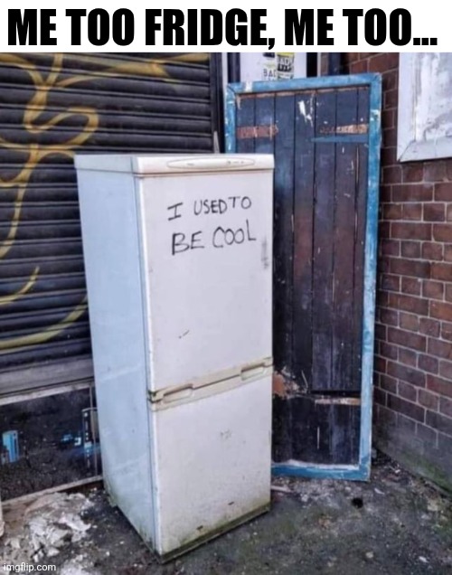 Me Too Fridge, Me Too... | ME TOO FRIDGE, ME TOO... | image tagged in chrisjoines1 | made w/ Imgflip meme maker
