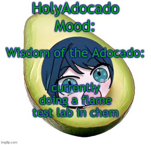 it's fun af | currently doing a flame test lab in chem | image tagged in holy adocado | made w/ Imgflip meme maker