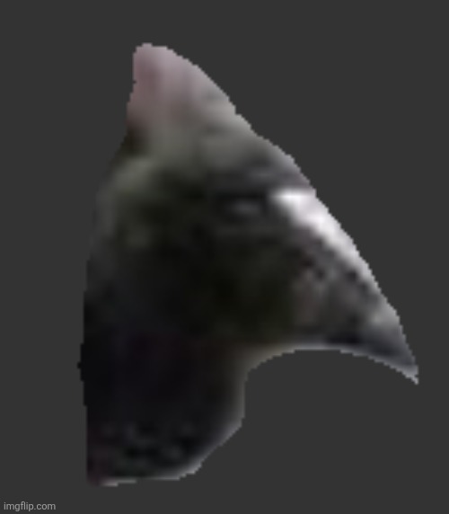 DAMN‼️‼️‼️‼️‼️‼️‼️‼️‼️‼️‼️‼️‼️‼️‼️‼️‼️‼️‼️‼️‼️‼️‼️‼️‼️‼️‼️‼️‼️‼️ | image tagged in damn | made w/ Imgflip meme maker