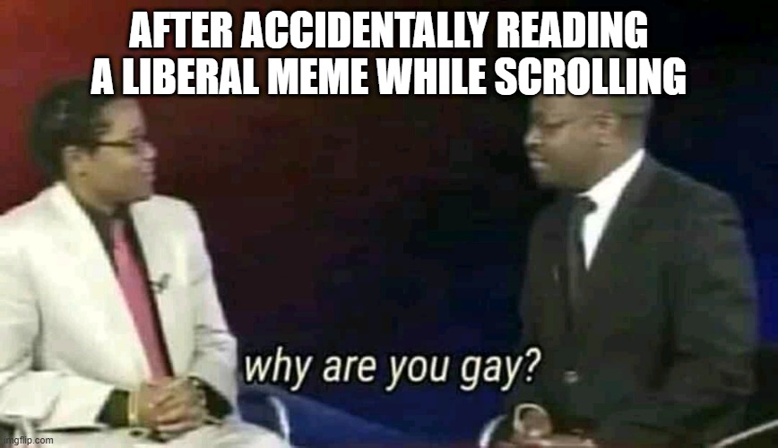 Why are you gay? | AFTER ACCIDENTALLY READING A LIBERAL MEME WHILE SCROLLING | image tagged in why are you gay | made w/ Imgflip meme maker